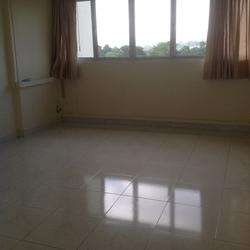 Lakeview Estate (D20), Apartment #124523942